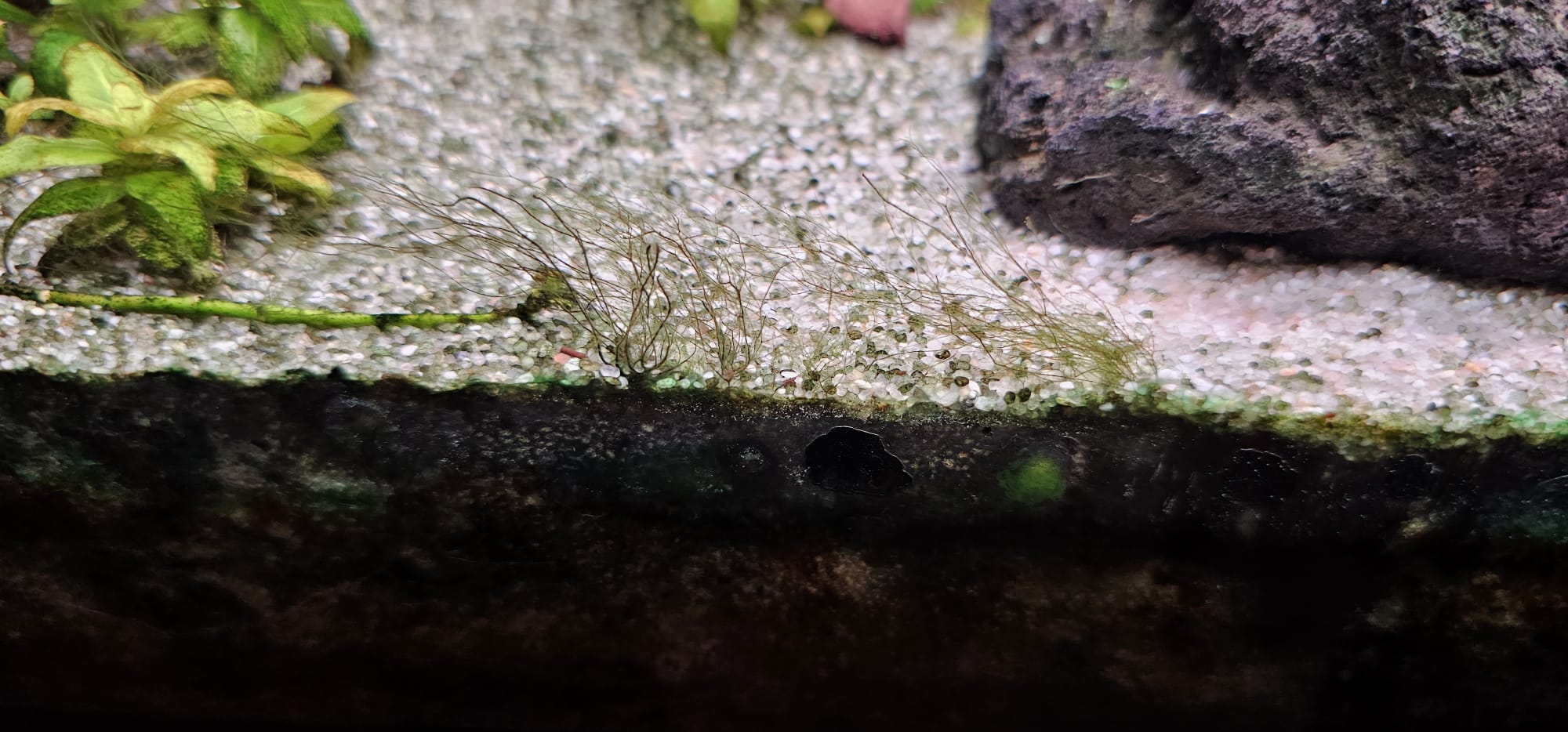 Afbeelding van WhatsApp op 2025-12-12 om 17.29.09_e5463748.jpg