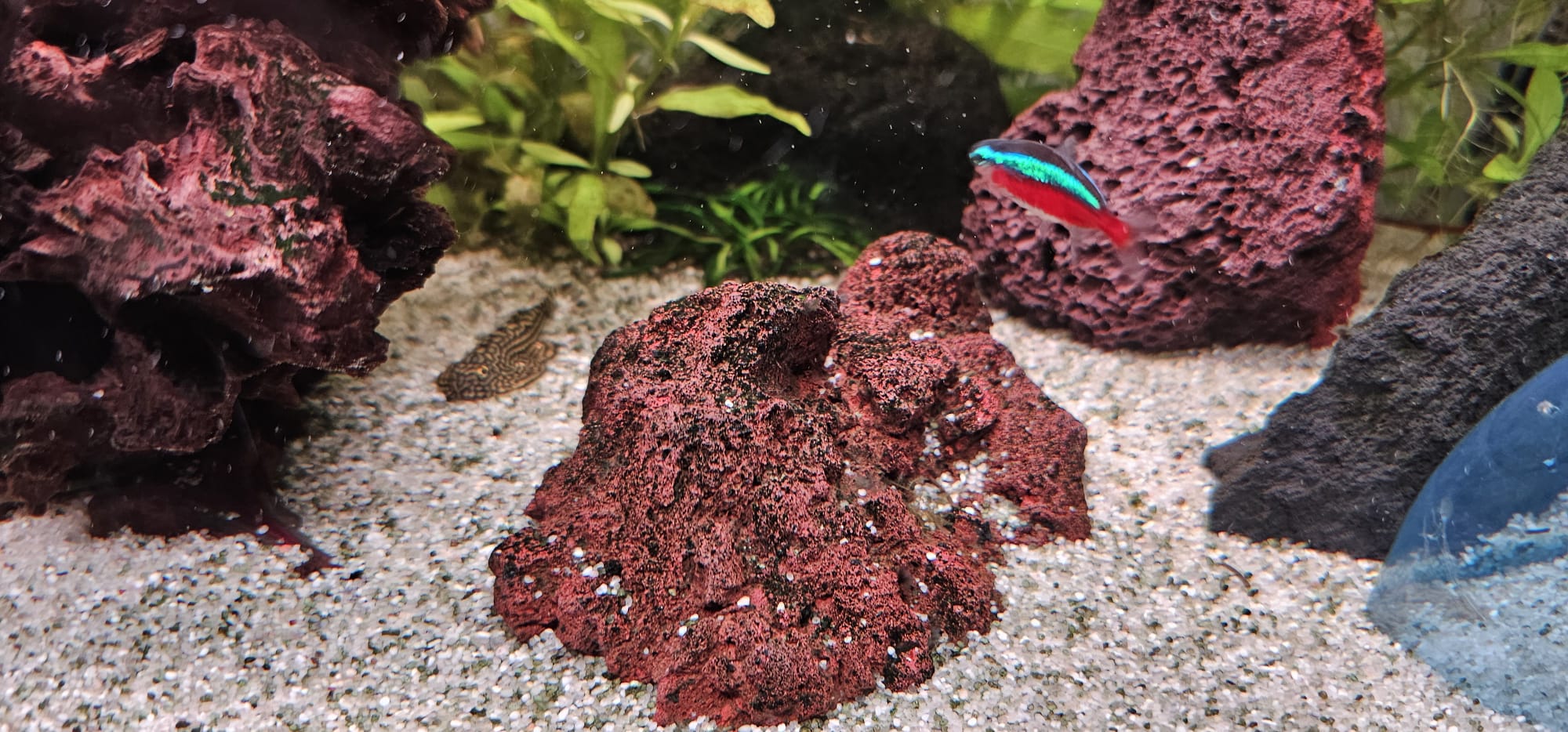 Afbeelding van WhatsApp op 2025-12-12 om 17.29.09_e5e8417b.jpg