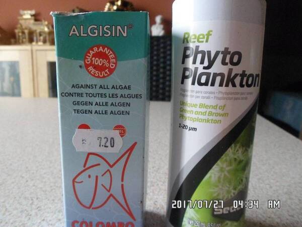 Algisin en Plankton 002.JPG