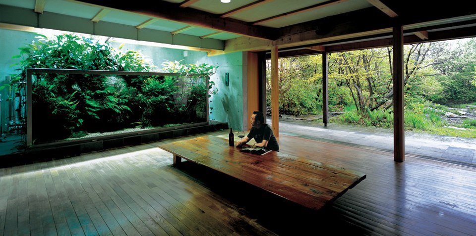amano1Home.jpg