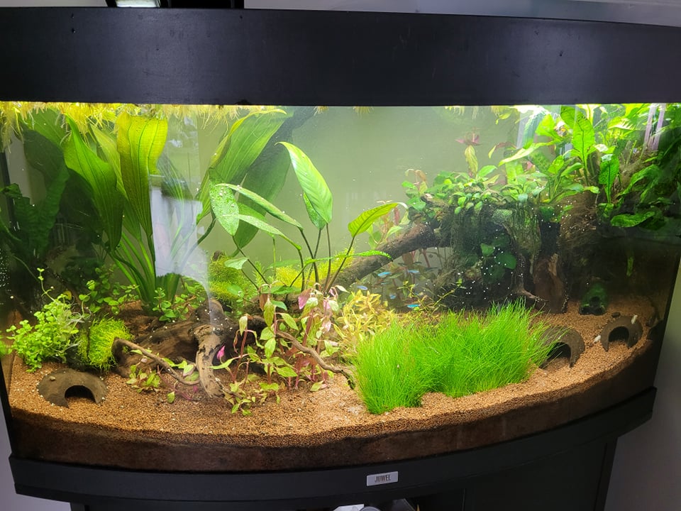 aqua 160l.jpg