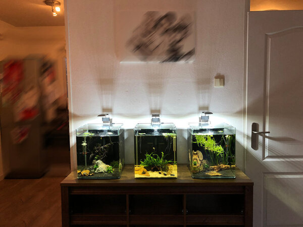 aqua-overzicht.jpg