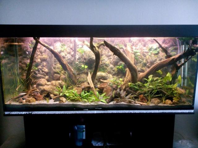 aqua30jan_zps8f23da52.jpg