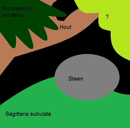 Aqua40_zpsod8scoki.png