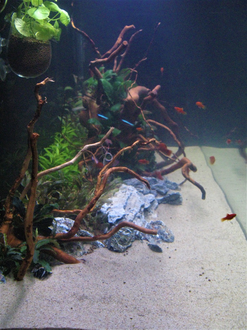 aqua992.jpg