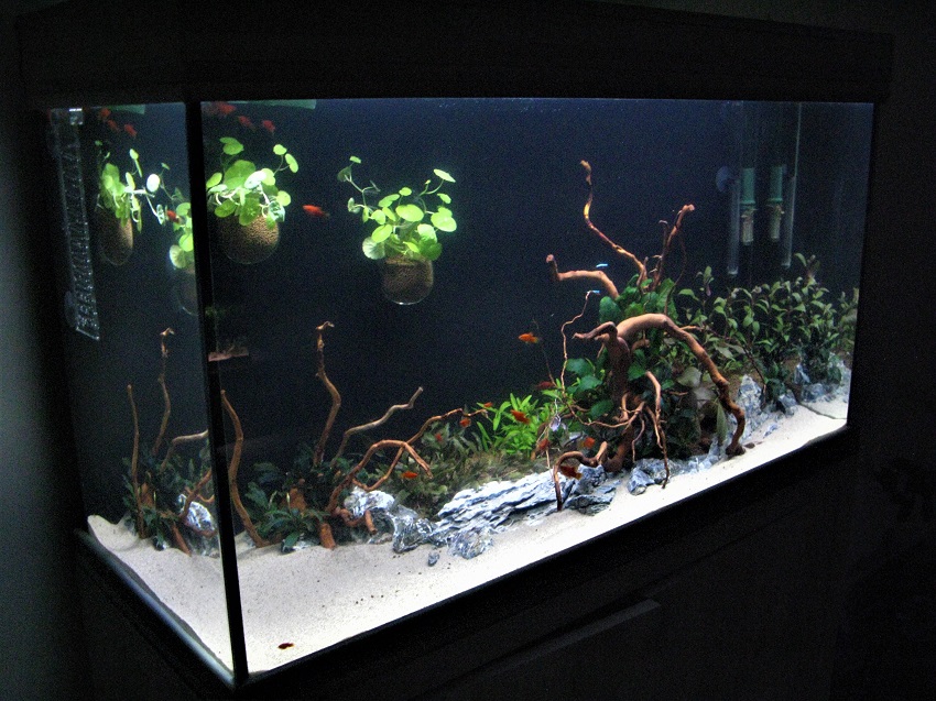aqua993.jpg