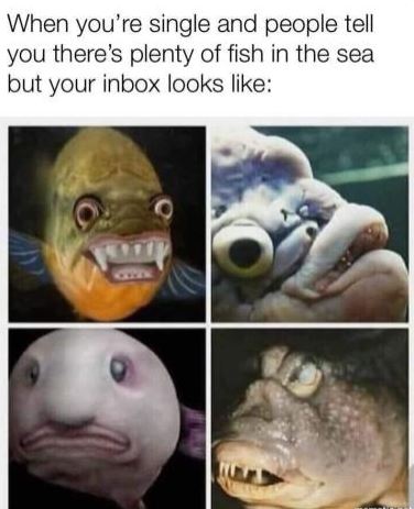 Aqua_mop_03.JPG