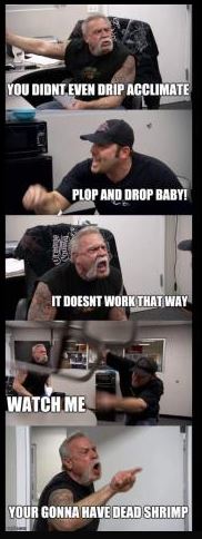 Aqua_mop_05.JPG