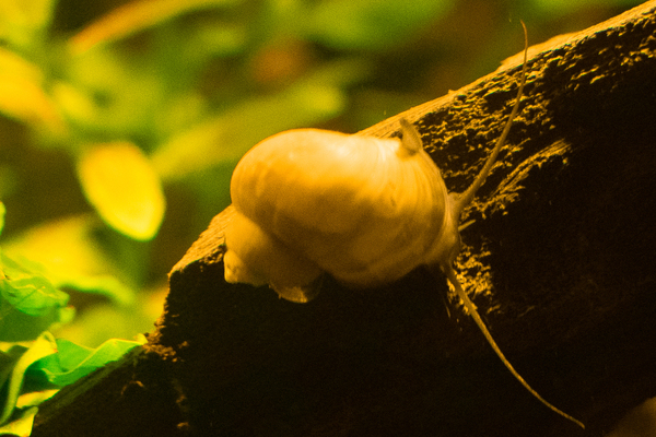 Aquarium 001-2.jpg