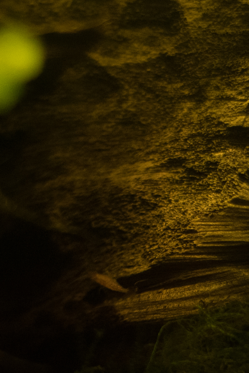 Aquarium 010.jpg