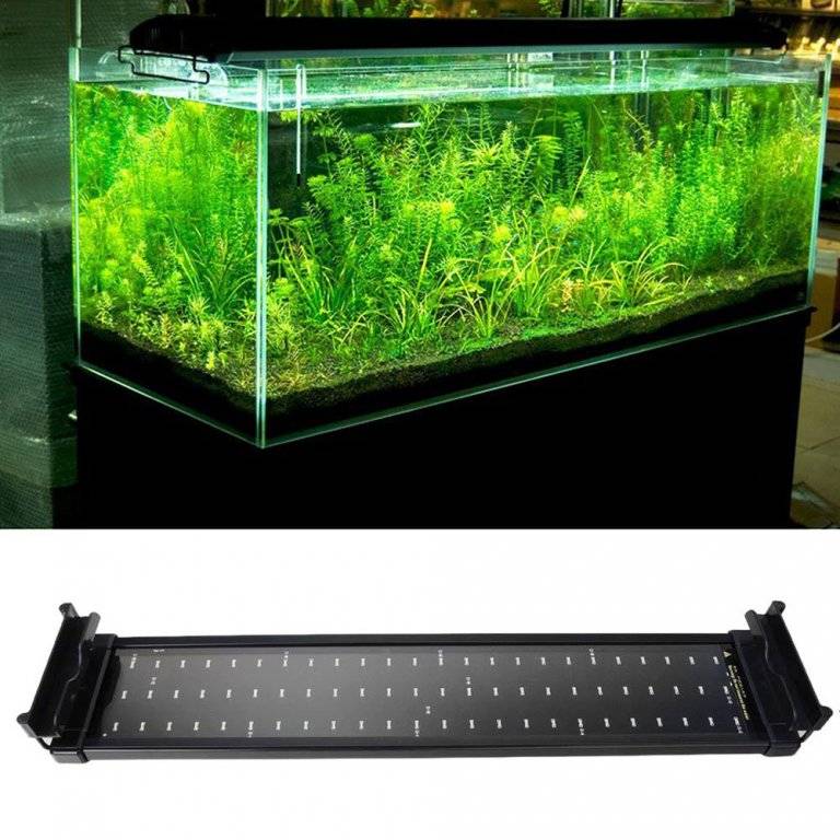 Aquarium-Aquarium-Smd-Led-Light-Lamp-11-W-2-Modus-50-Cm-60-Wit-12-Blauw.jpg