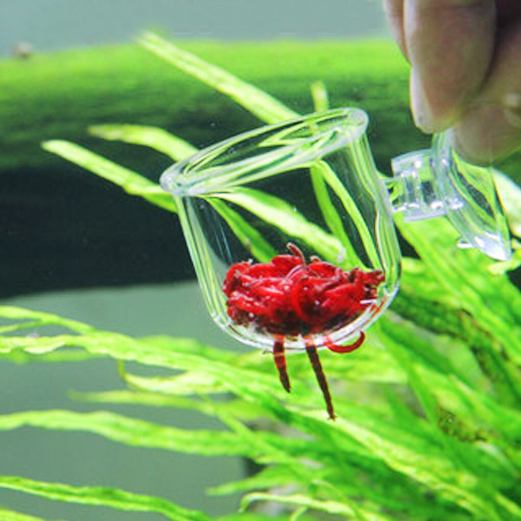 Aquarium-Cone-Red-Worm-Feeder-Acrylic-Suction-Cups-Fish-Feeding-Cup-Transparent-Worm-Feeding-C...jpg