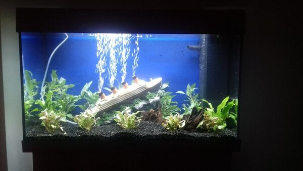 aquarium foto titanik.jpg