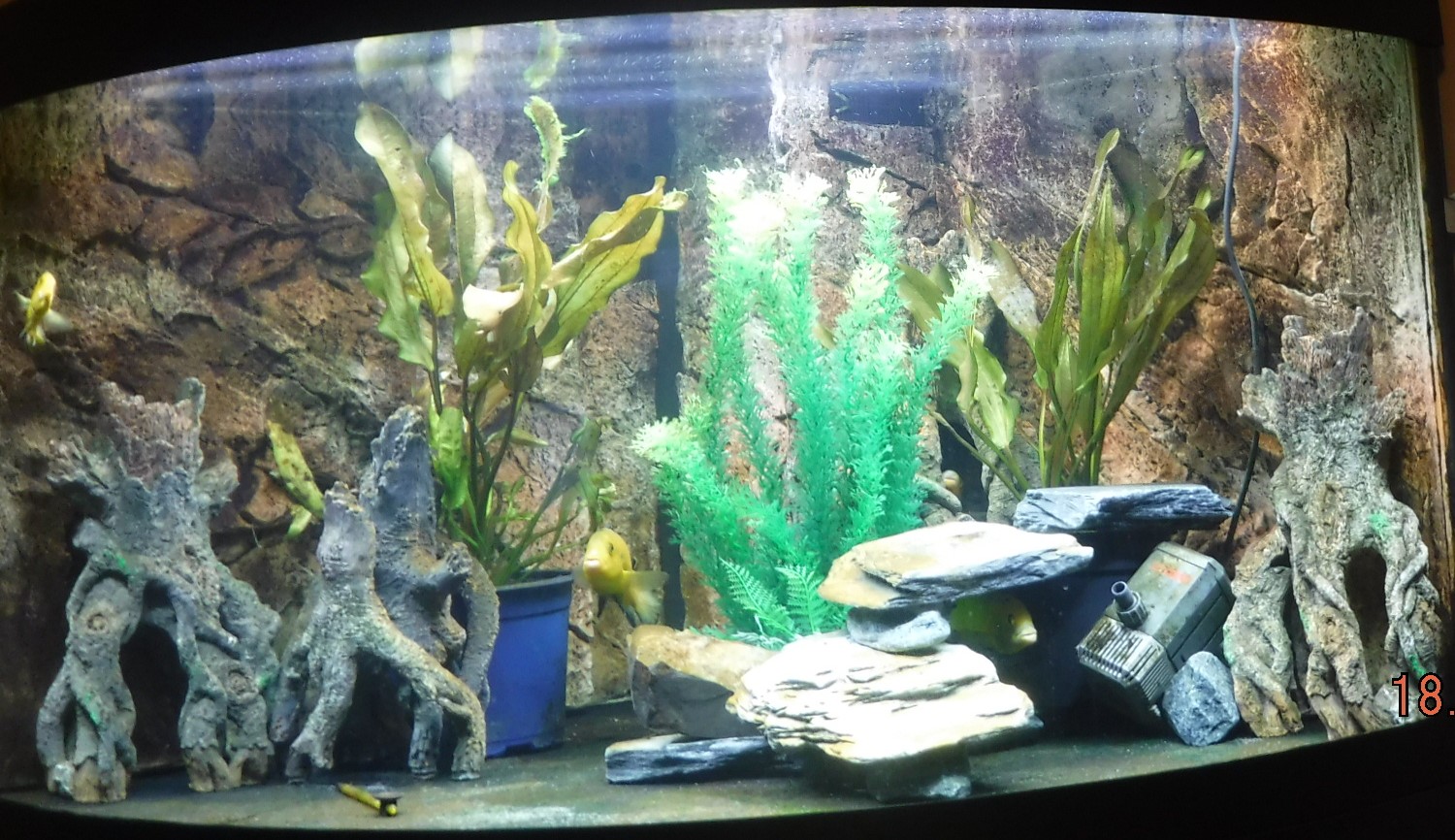 Aquarium Hattink 18Dec23.JPG