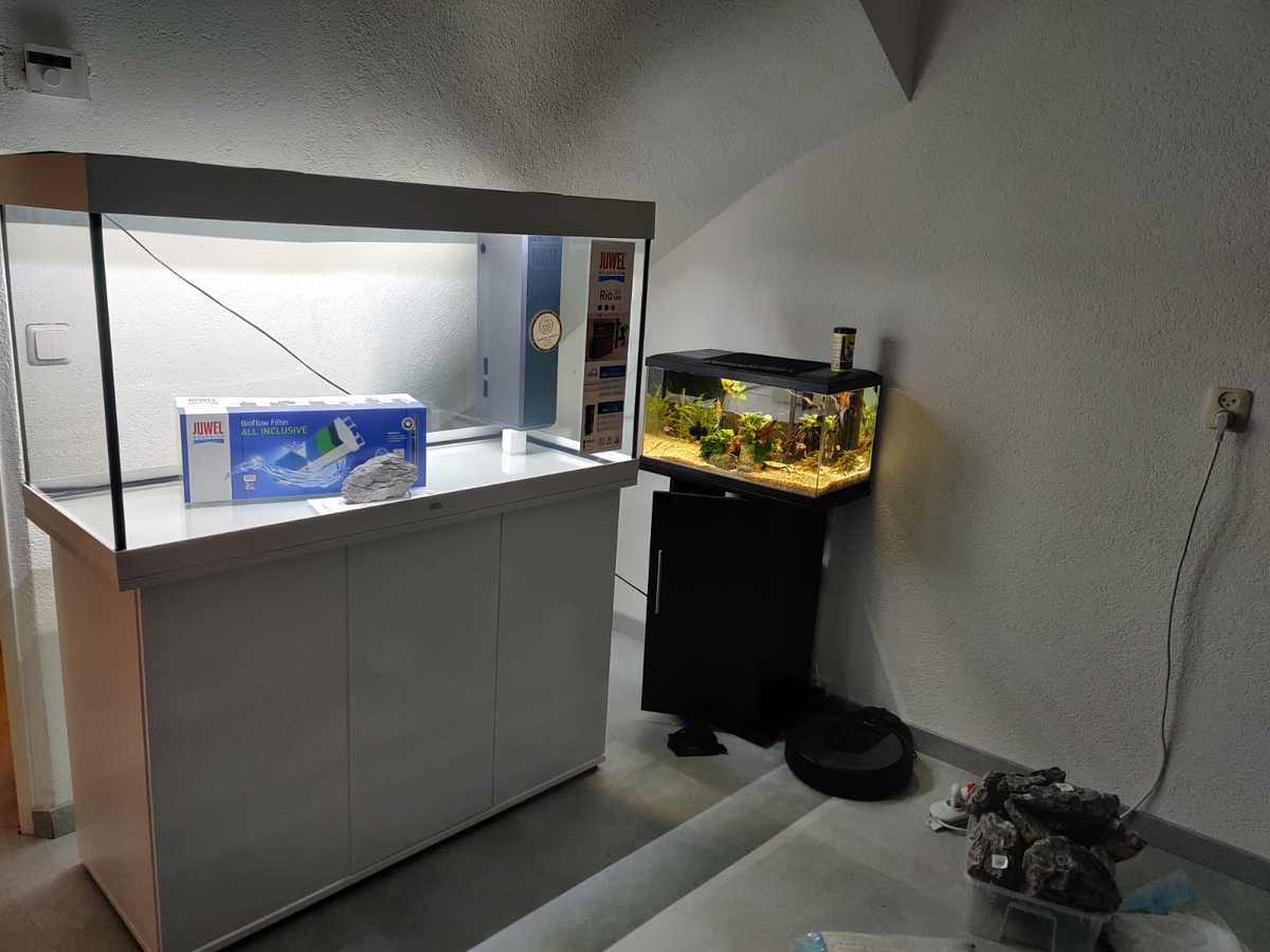 aquarium.jpeg