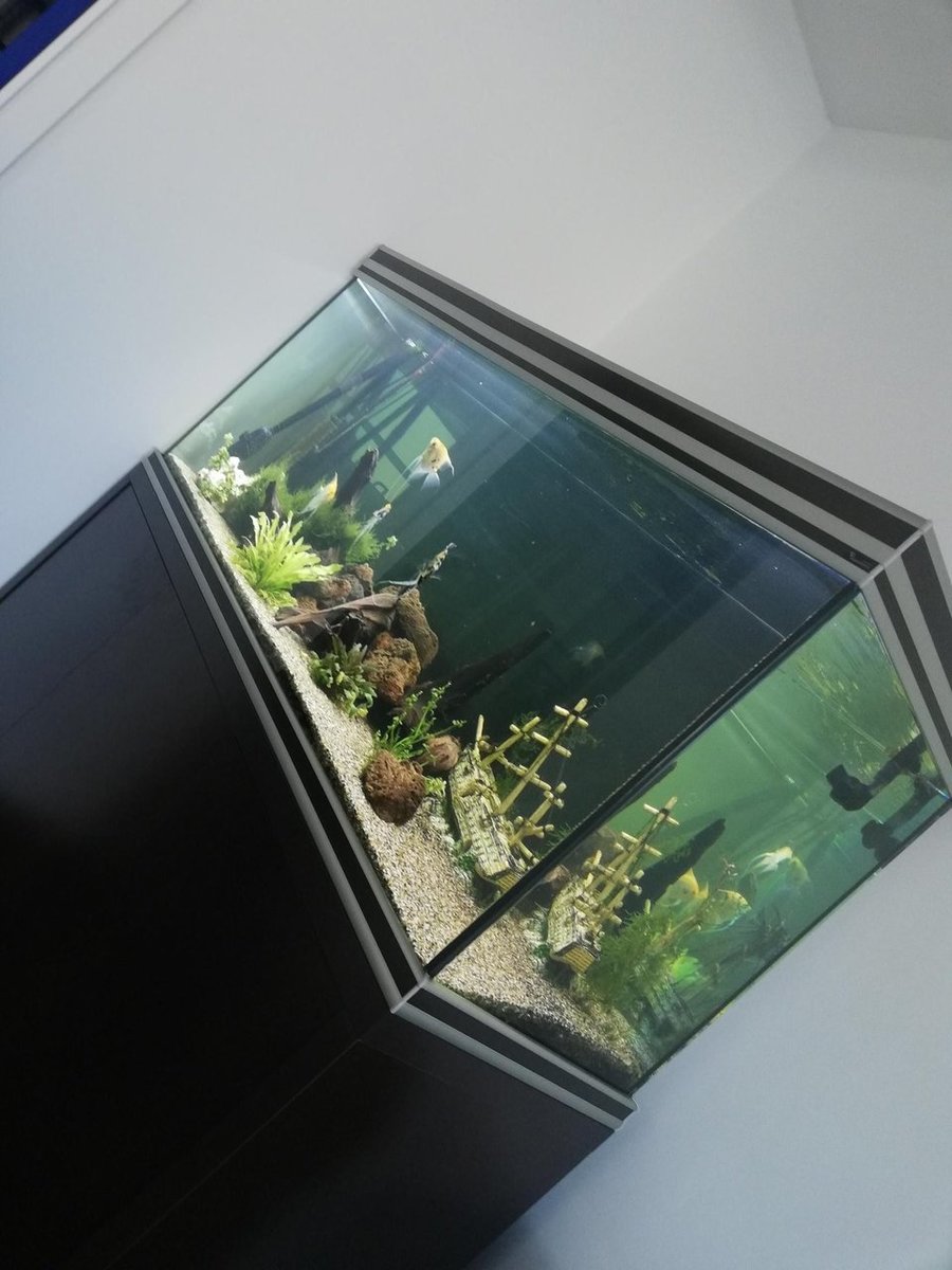 aquarium.jpg
