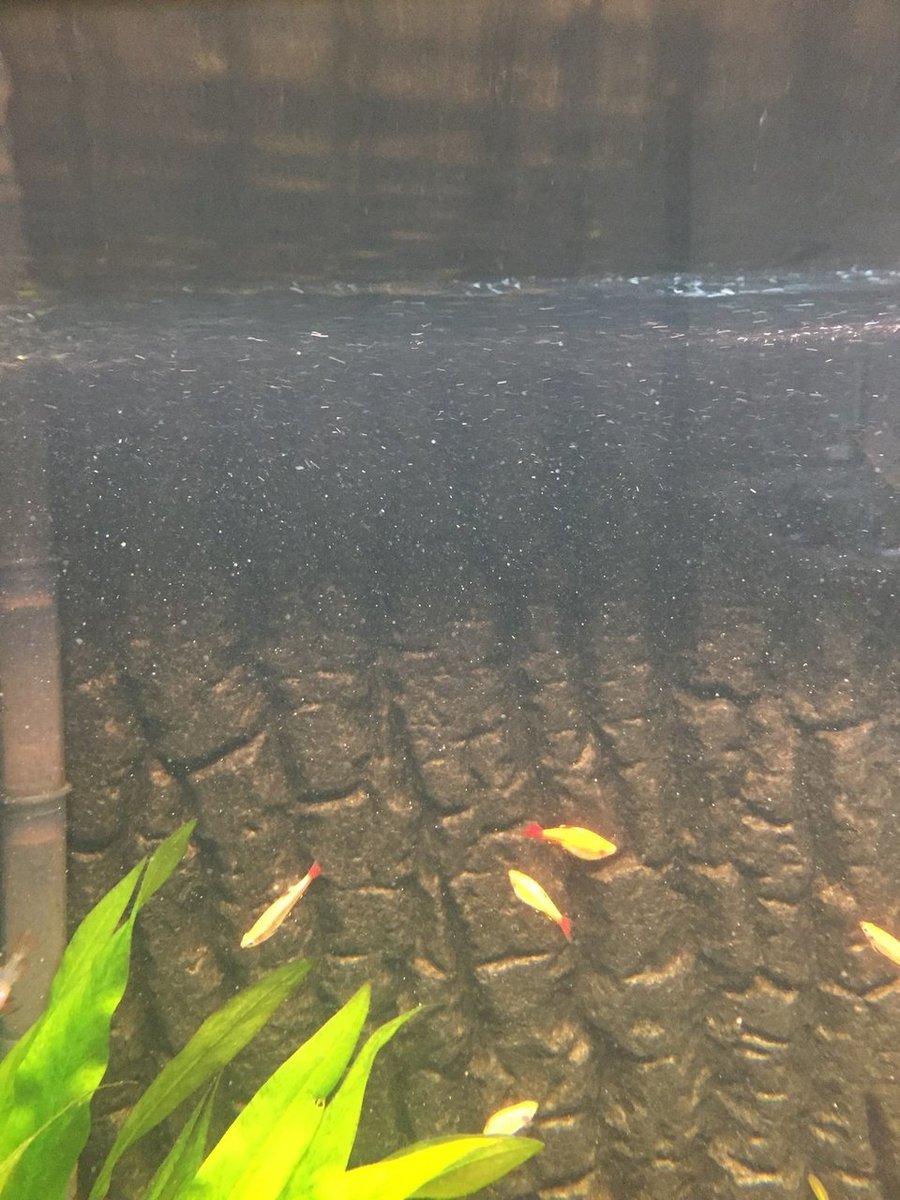 Aquarium.jpg