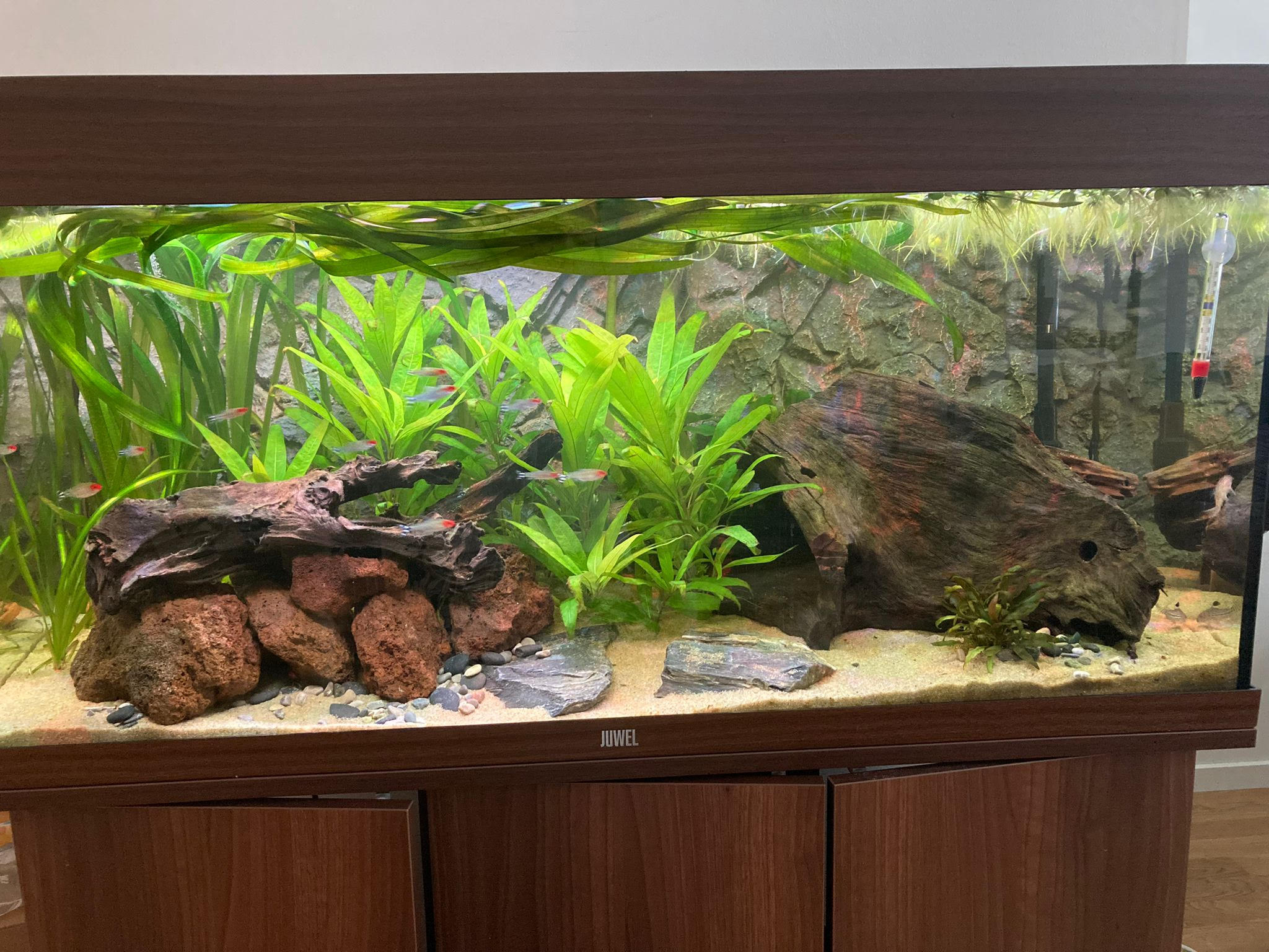 aquarium.jpg