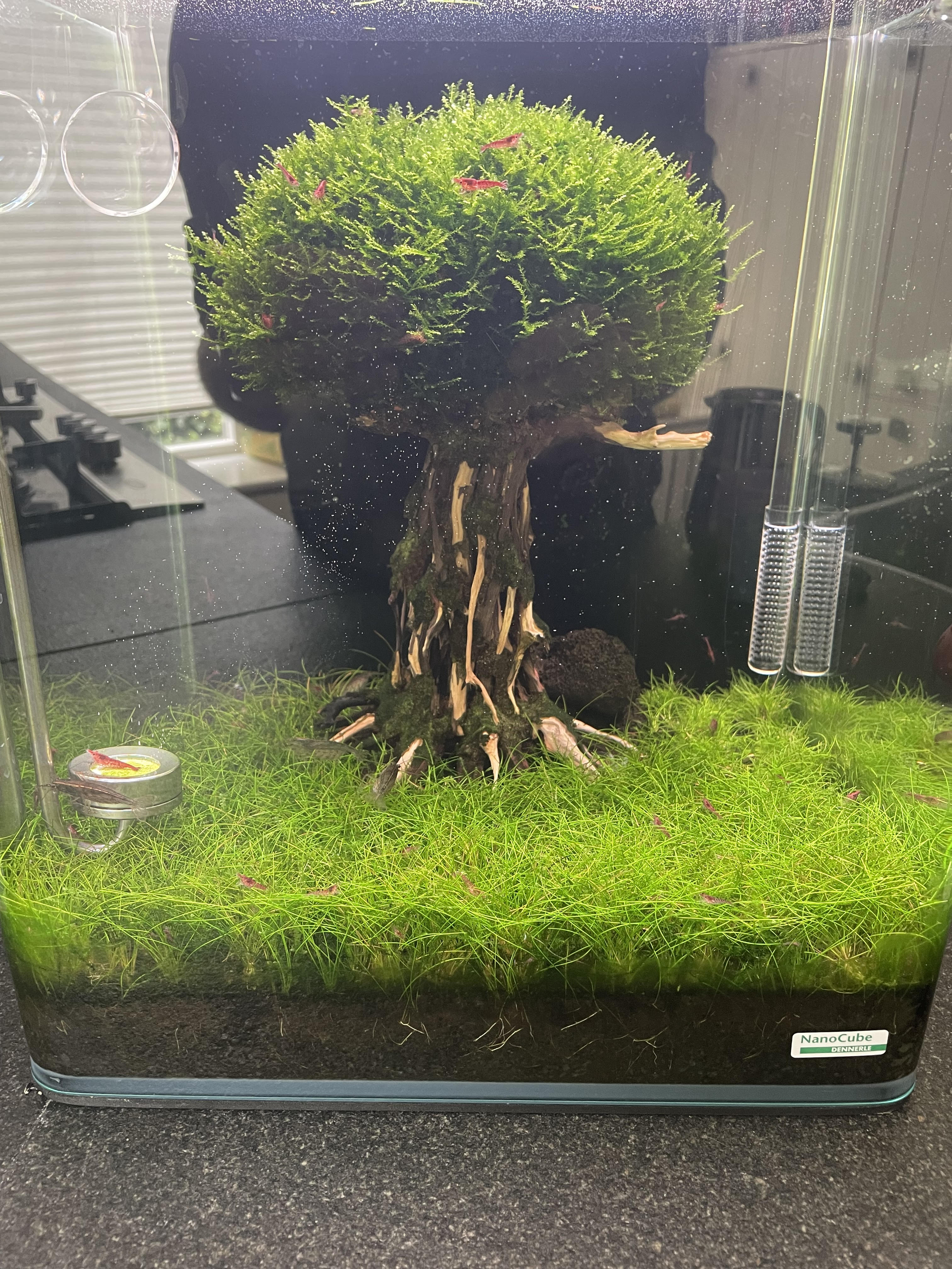 Aquarium.jpg
