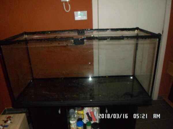 Aquarium schoolbordverf 003.JPG