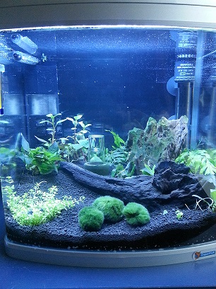 aquarium0.jpg