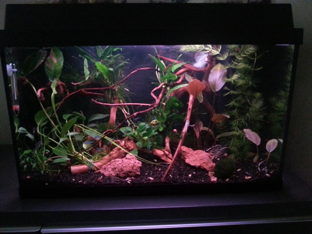 aquarium1..jpg