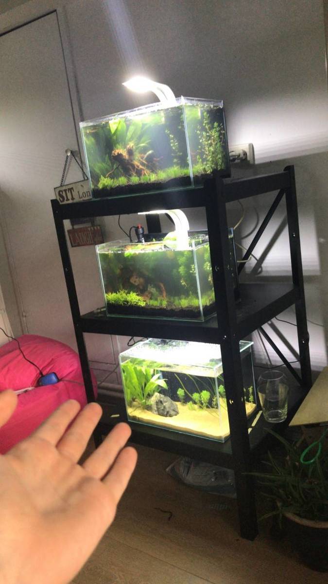 aquarium1.jpg