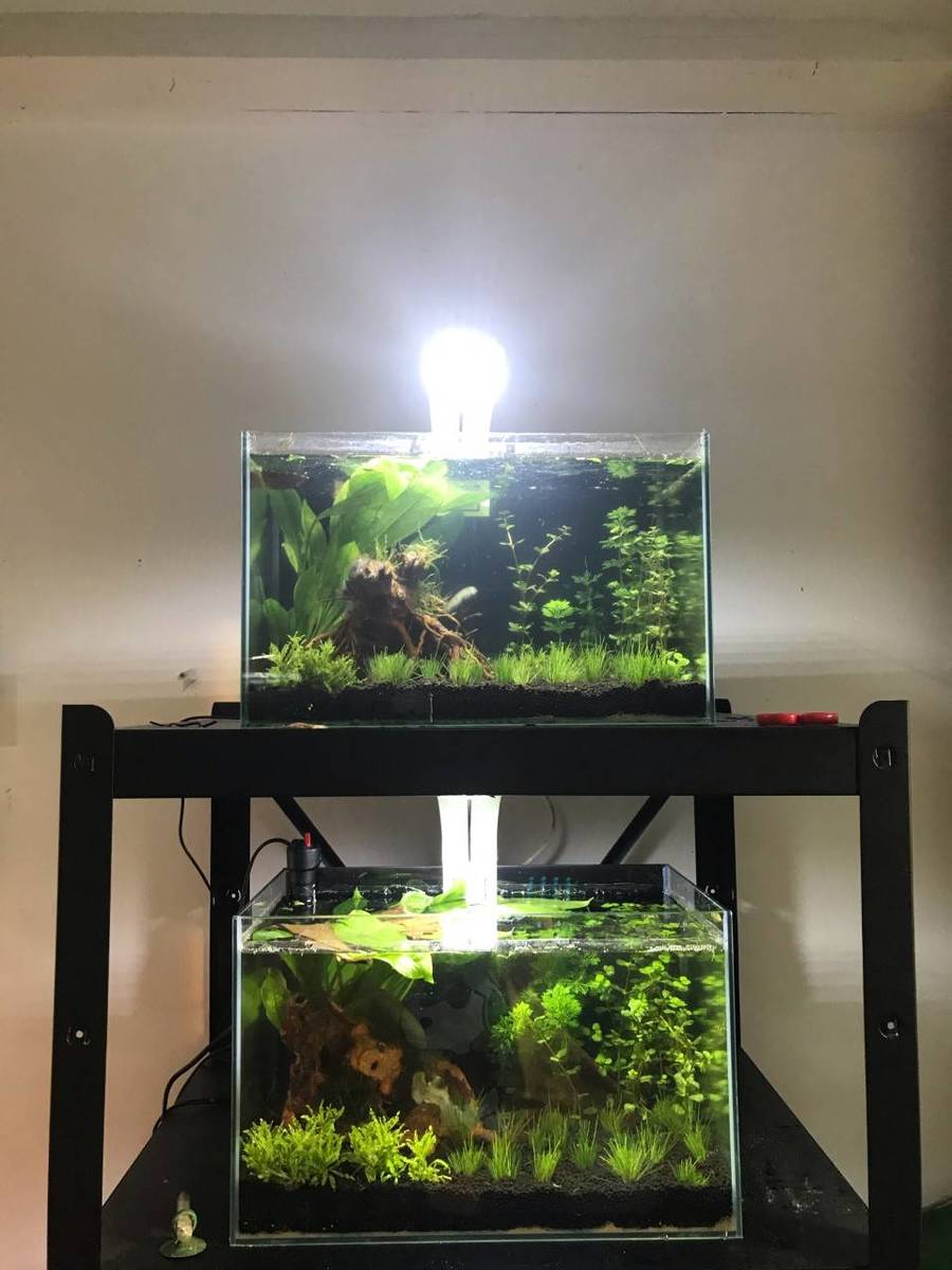 aquarium2.jpg
