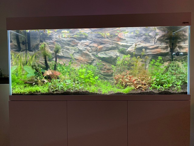 Aquarium2.jpg