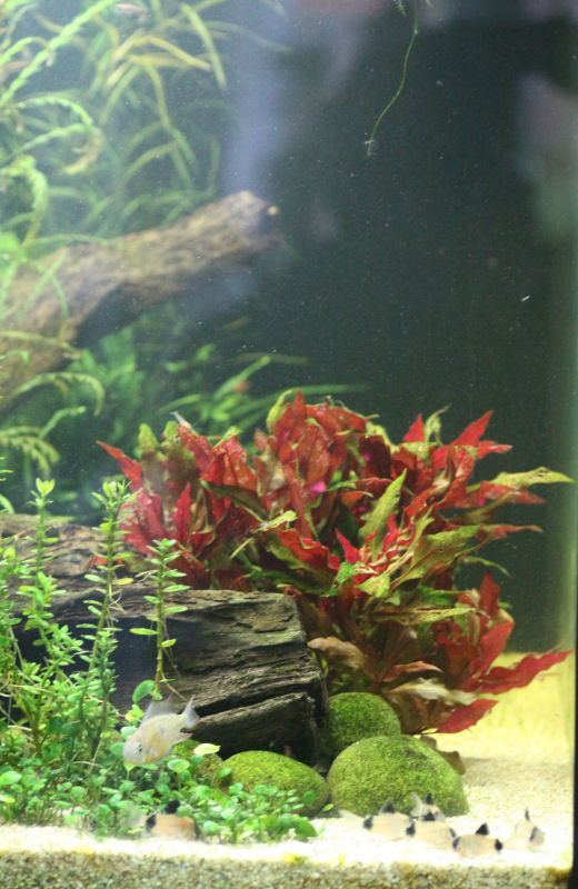 aquarium_2016_04_28_07.jpg