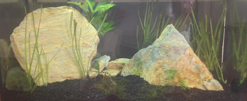 aquariumdeimos.jpg