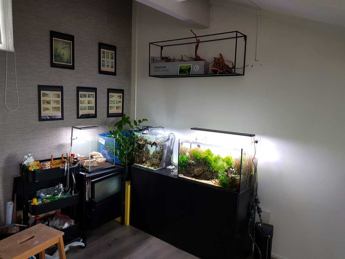 Aquariumhoek.jpg