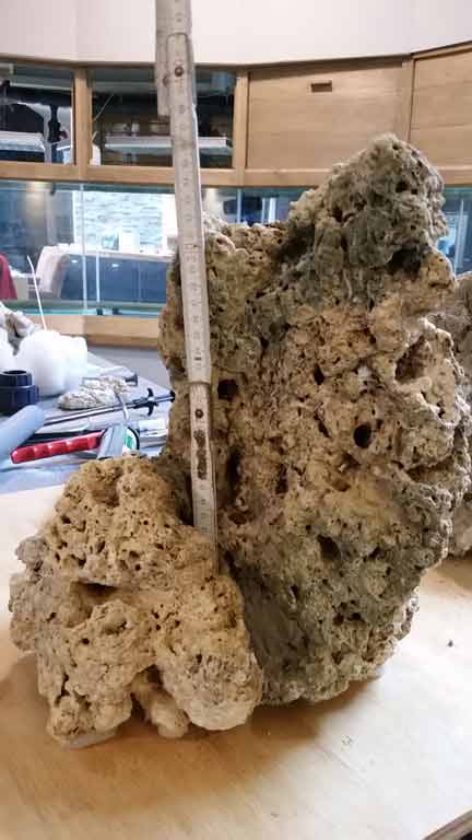 AquaScape13.jpg