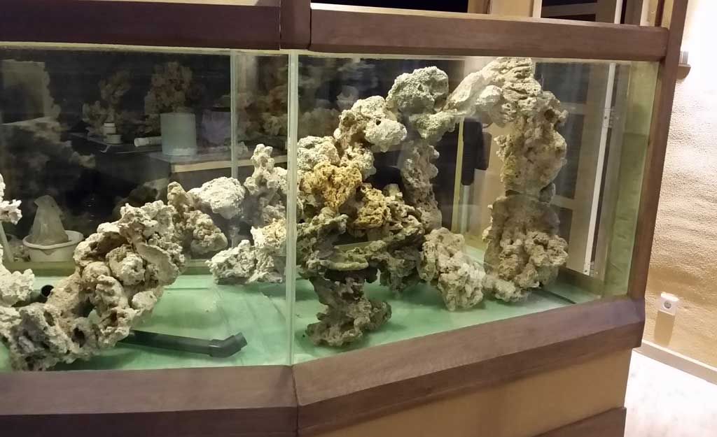 Aquascape20.jpg