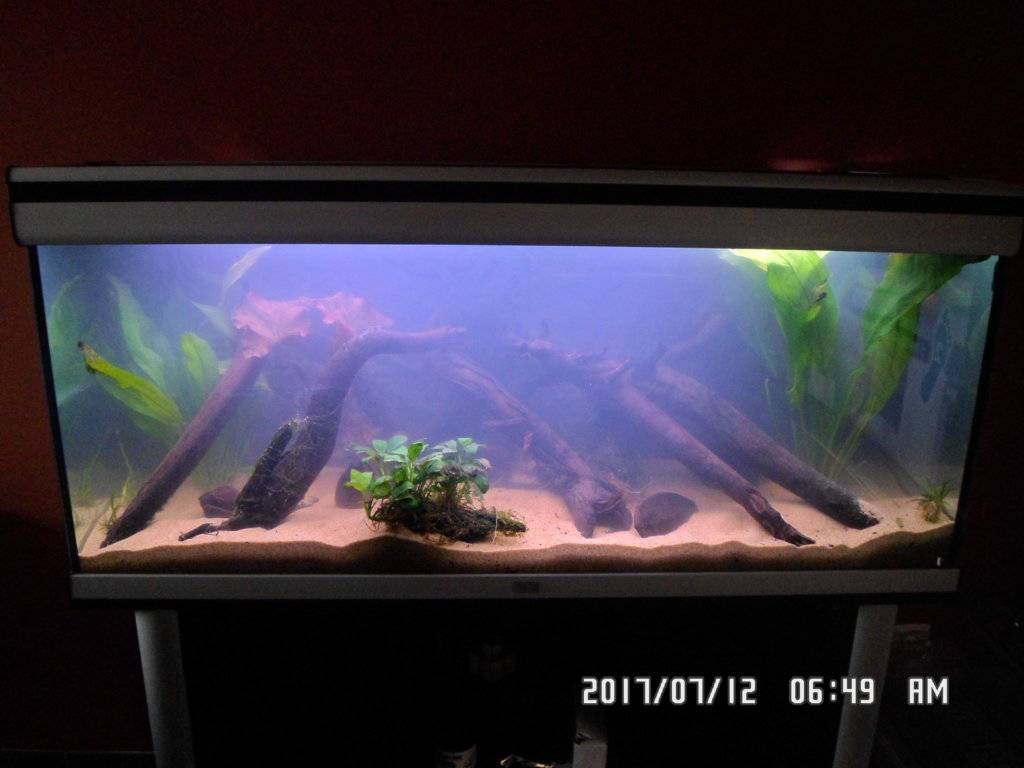 Aquatlantis opnieuw ingericht op 11 juli 2017 001.JPG