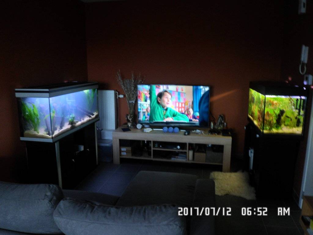 Aquatlantis opnieuw ingericht op 11 juli 2017 007.JPG