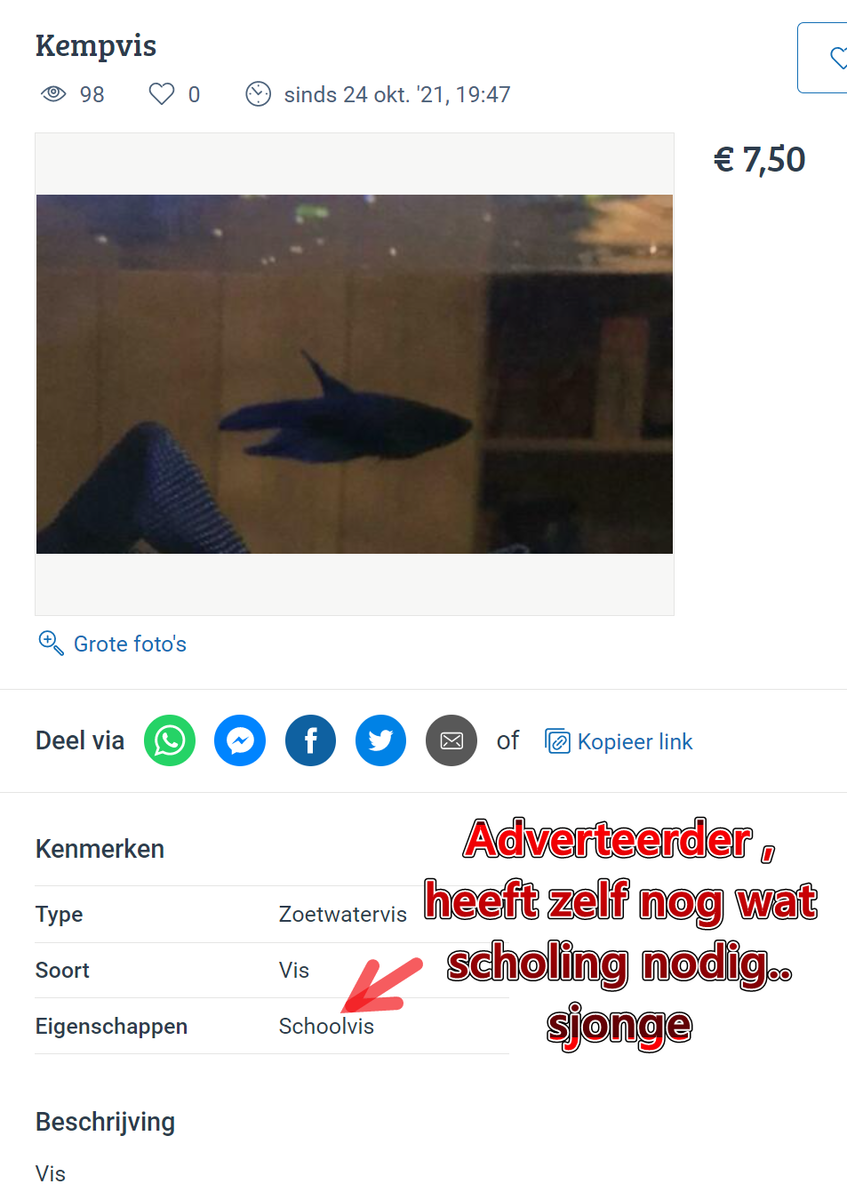 Ashampoo_Snap_vrijdag 29 oktober 2021_8h50m55s_001_= Kempvis � Vissen Aquariumvissen � Marktpl...png