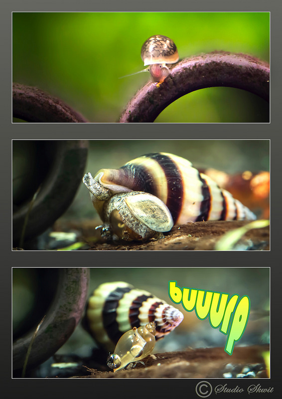 atd8KHmCv0jtqFRFLWVP1OPTo8Q3GRMg.jpeg atd8KHmCv0jtqFRFLWVP1OPTo8Q3GRMg.jpeg