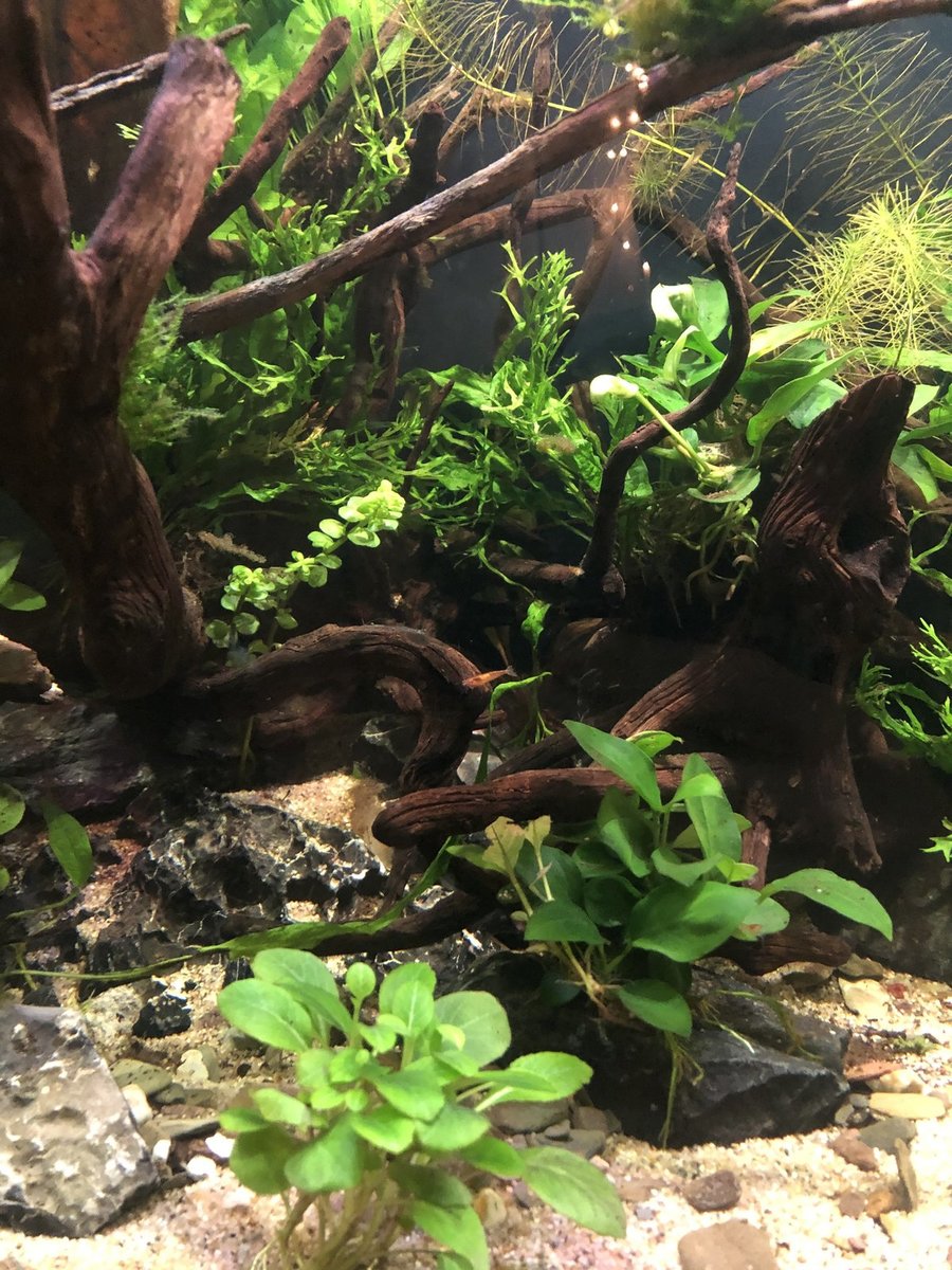 b907c701-7e2b-48c2-8a4c-5e134e497445-jpeg.315188