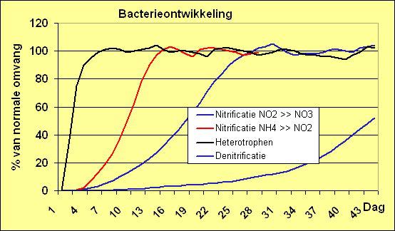 Bacterie-ontwikkeling-in-aquarium.jpg