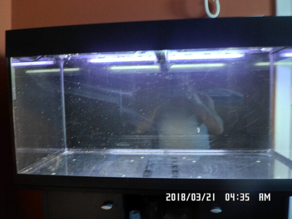 Bak achter en zijkant geverfd in matzwart 008.JPG