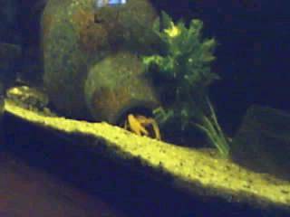 bassie en japie 001.jpg