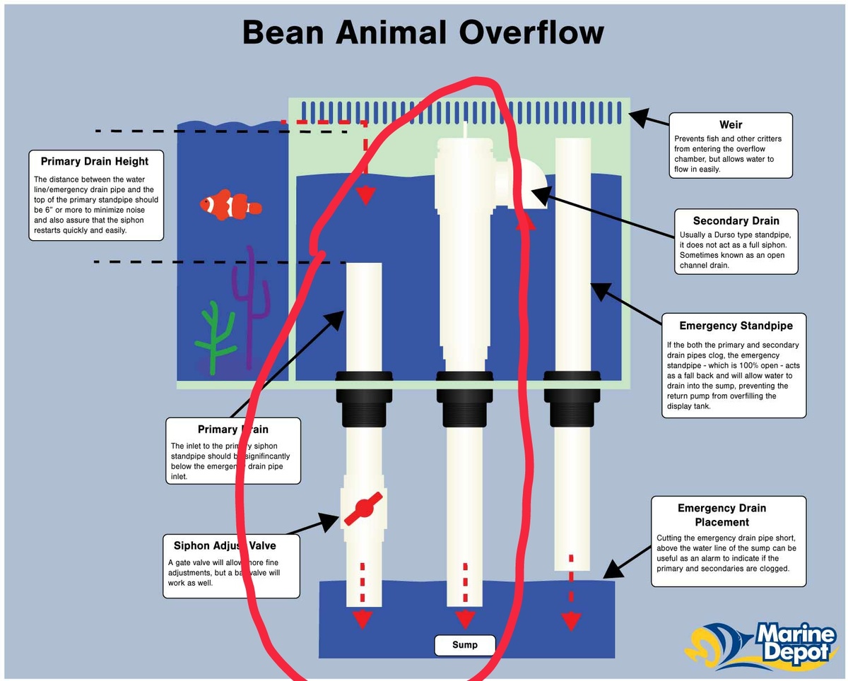 bean-animal-2__01.jpg