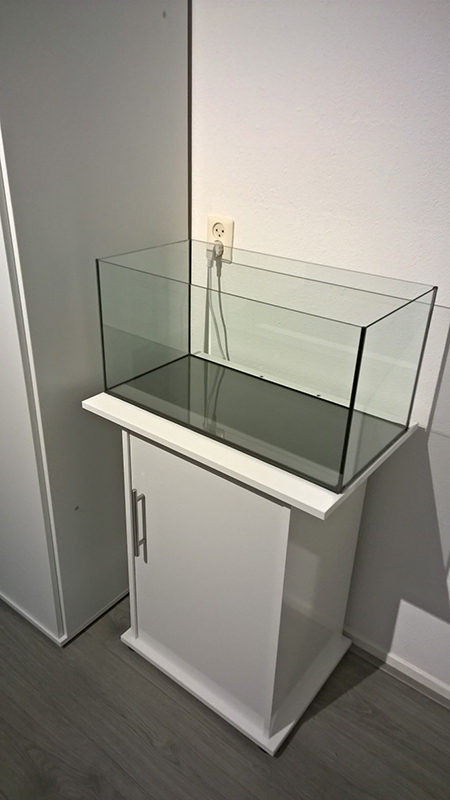 Begin-800px_zpsckunj0rt.jpg
