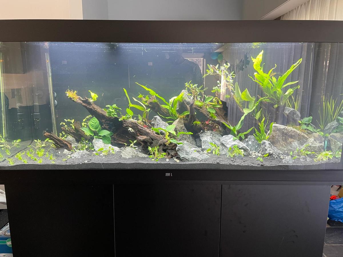 Beplanting nieuw 1.jpg