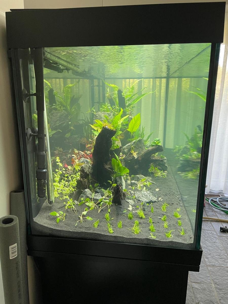 Beplanting nieuw 6.jpg