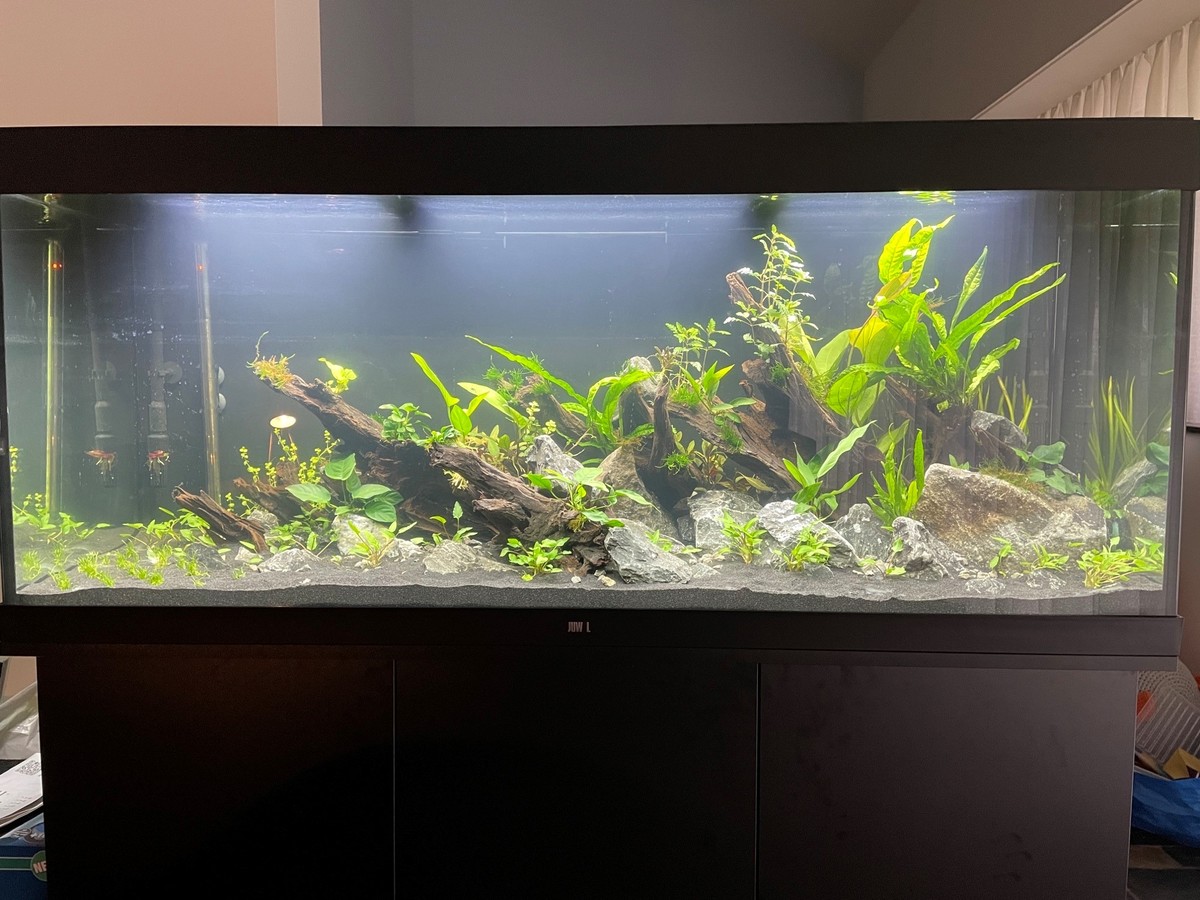 Beplanting week-1 1.jpg