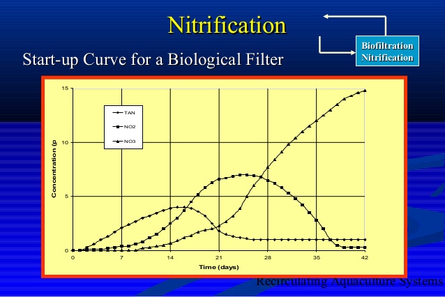 biofiltration-nitrification-design-overview-8-638.jpg