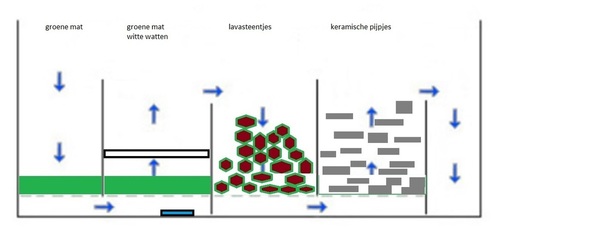 Bioloog 3.0.jpg