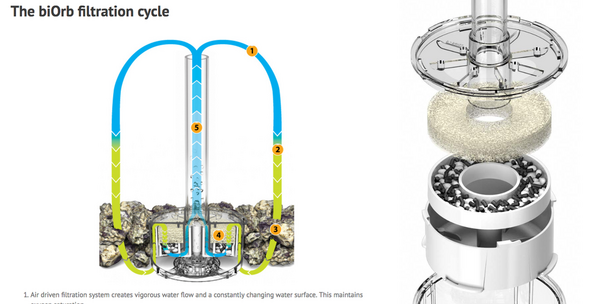 Biorb Filter .png